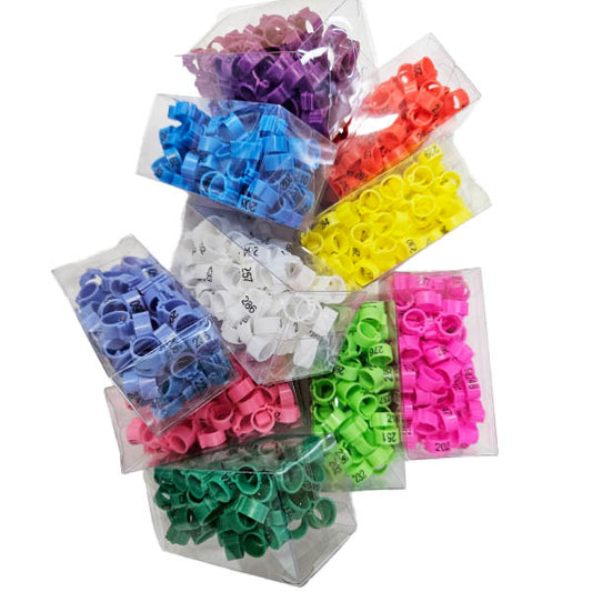 Pigeon Rings Small Numeric